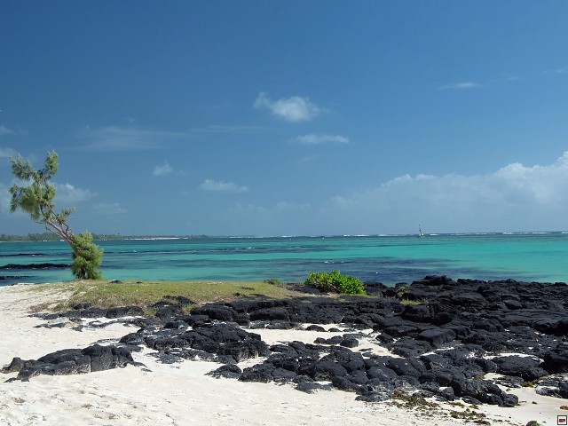 img00005.jpg