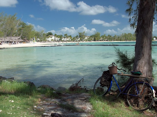 img00006.jpg