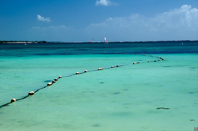 img00010.jpg
