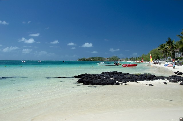 img00014.jpg