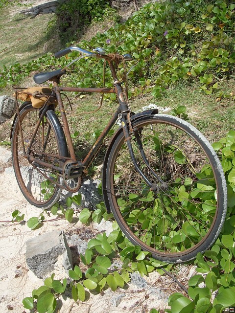 img00017.jpg