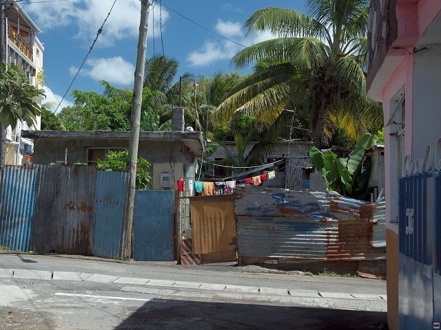 img00019.jpg
