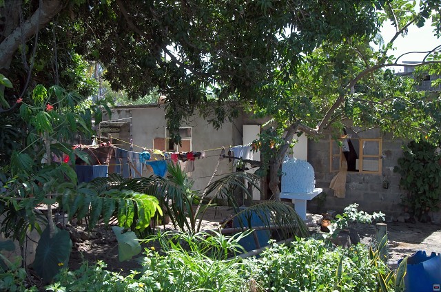 img00020.jpg