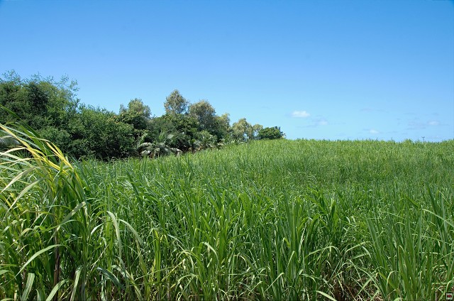 img00021.jpg