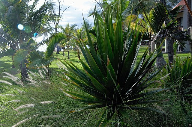 img00003.jpg