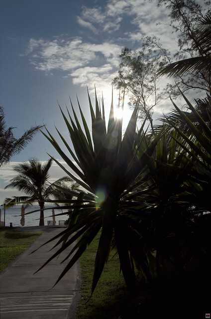 img00005.jpg