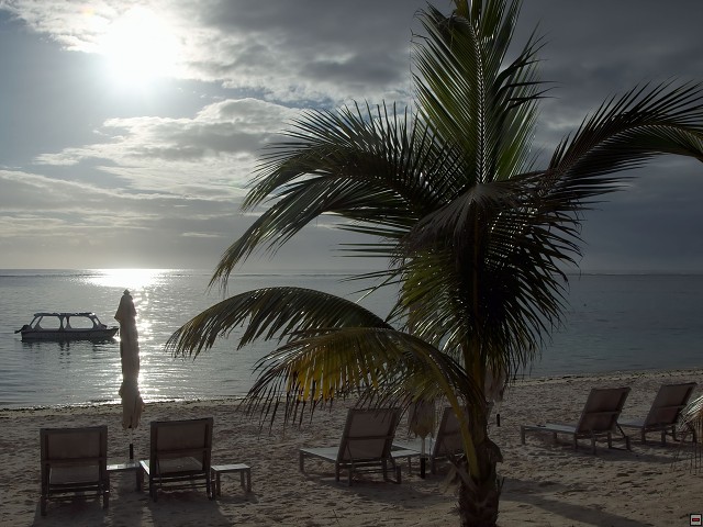 img00007.jpg