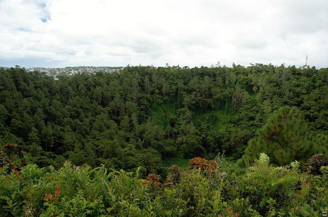 img00008.jpg
