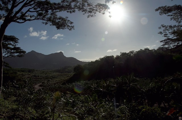 img00019.jpg