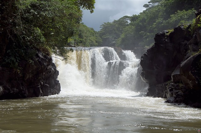 img00011.jpg