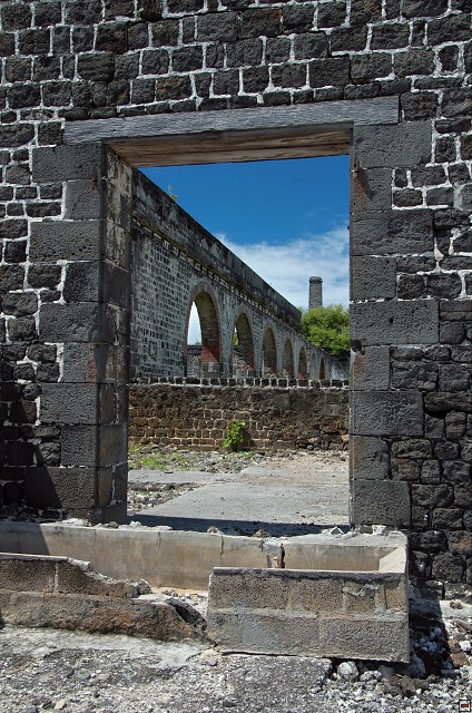 img00010.jpg