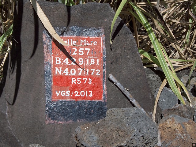 img00017.jpg