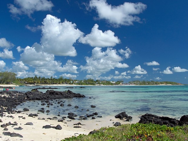 img00007.jpg