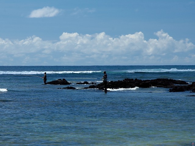 img00009.jpg