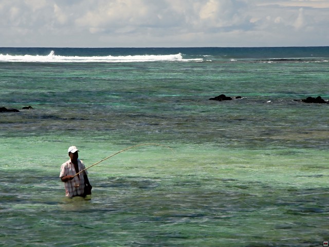 img00010.jpg