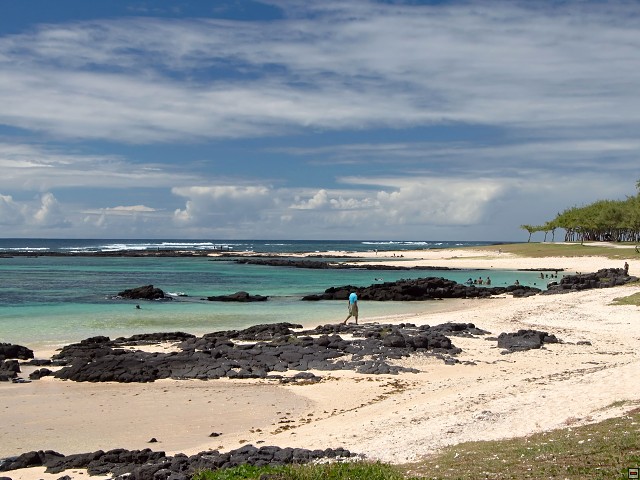 img00011.jpg