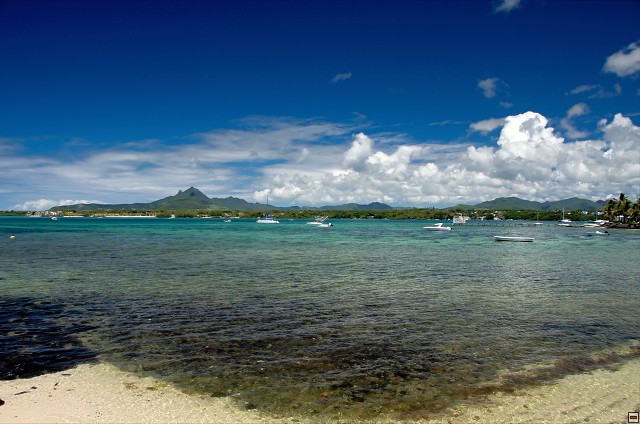 img00014.jpg