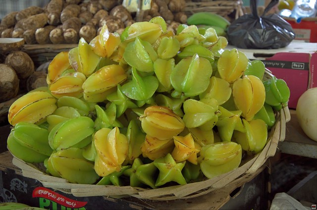 img00014.jpg