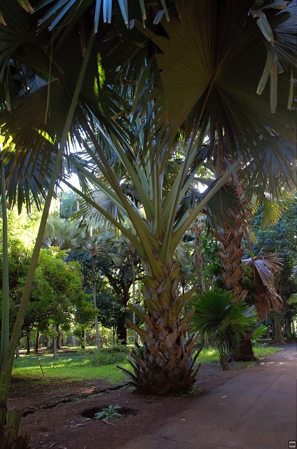 img00030.jpg
