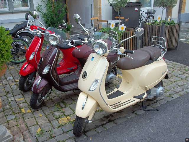 img00004.jpg