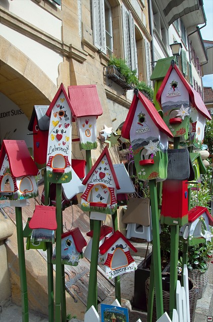 img00010.jpg
