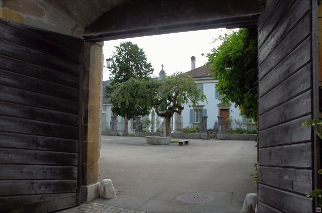 img00012.jpg