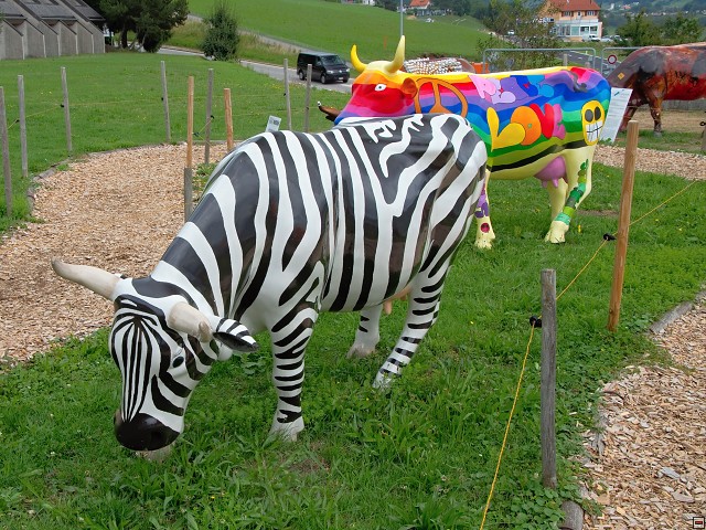 img00020.jpg
