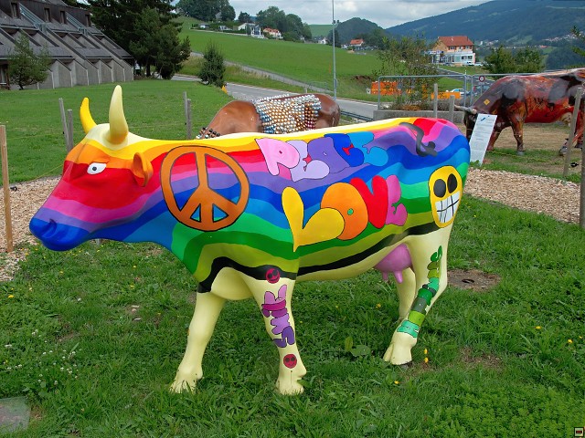 img00021.jpg