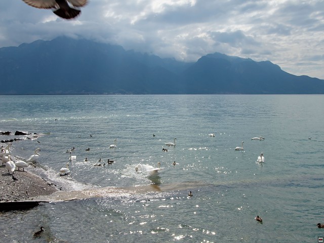 img00030.jpg
