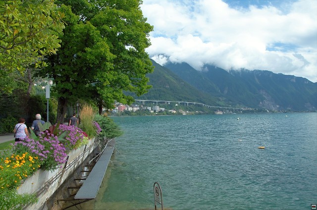 img00036.jpg
