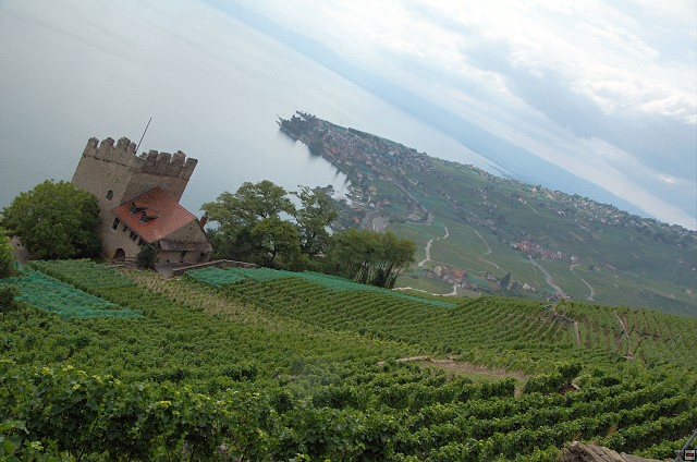 img00026.jpg
