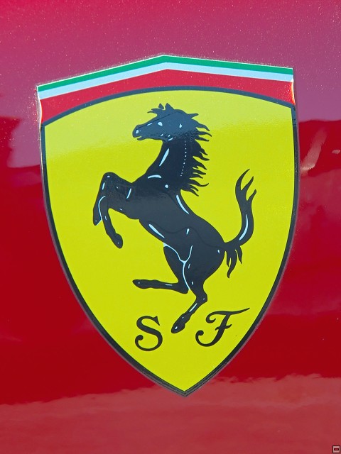 img00001.jpg