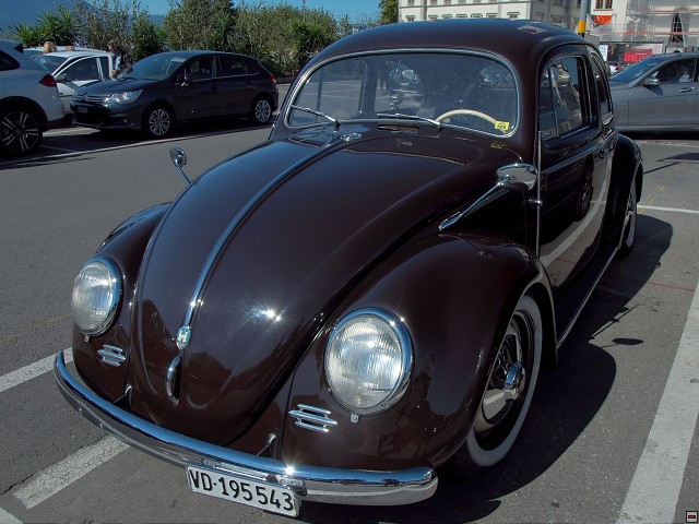 img00004.jpg