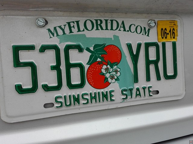 img00004.jpg