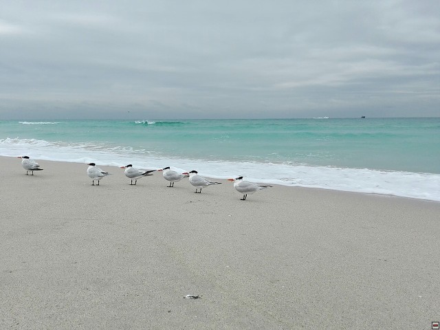 img00018.jpg