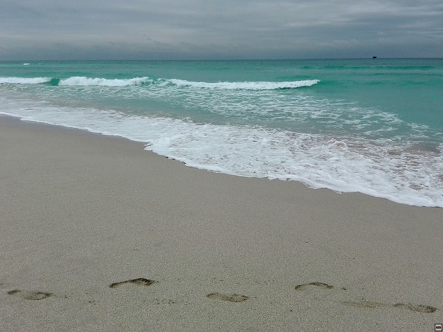 img00019.jpg