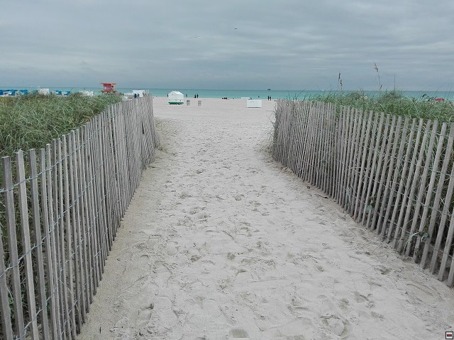 img00020.jpg