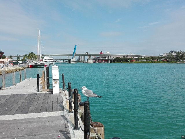 img00022.jpg