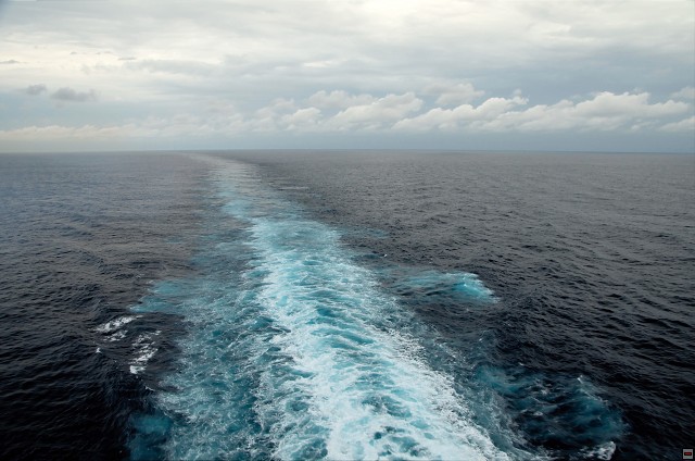 img00003.jpg