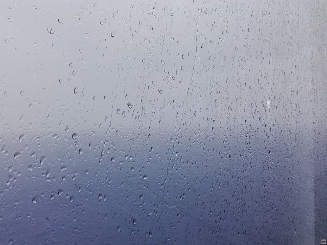 img00013.jpg