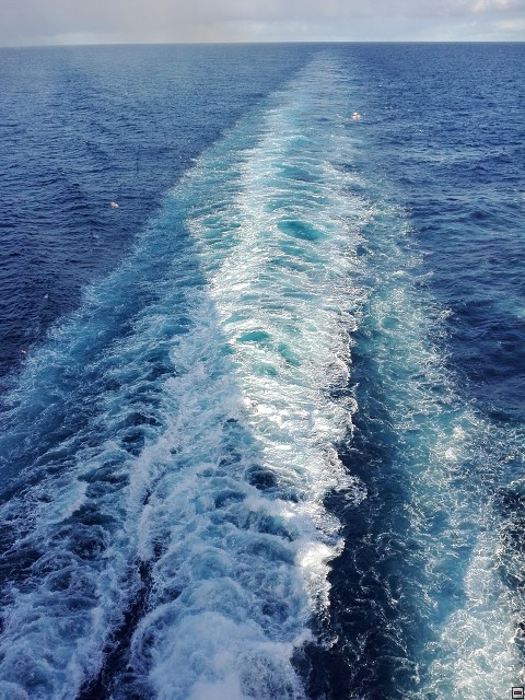 img00003.jpg