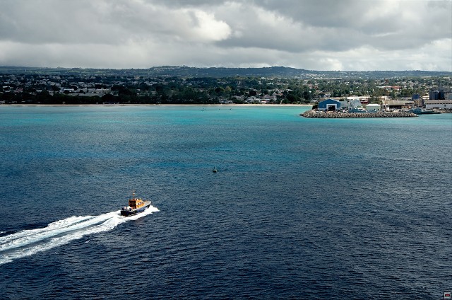 img00004.jpg