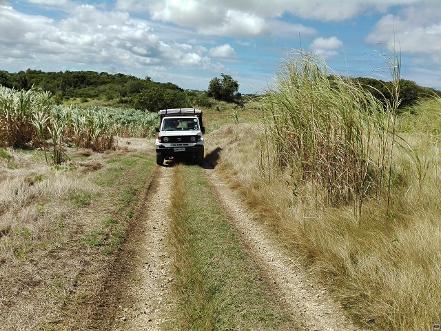 img00009.jpg