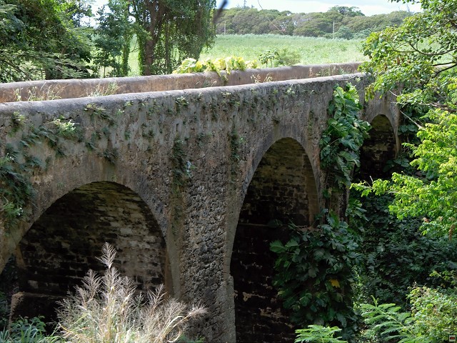 img00012.jpg