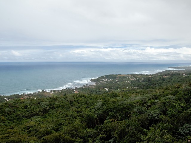 img00013.jpg