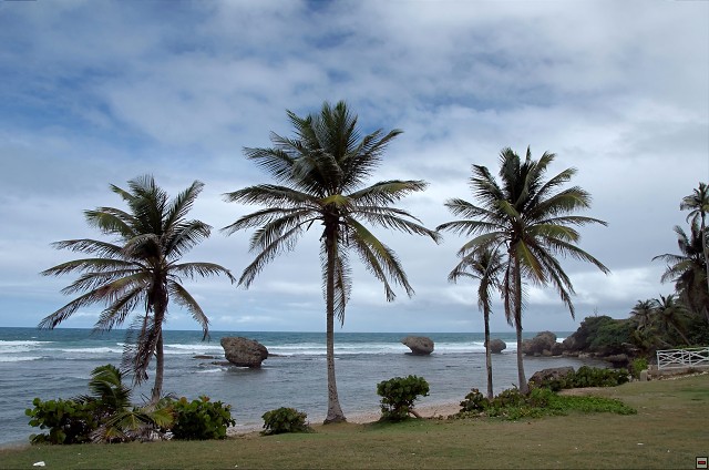 img00015.jpg