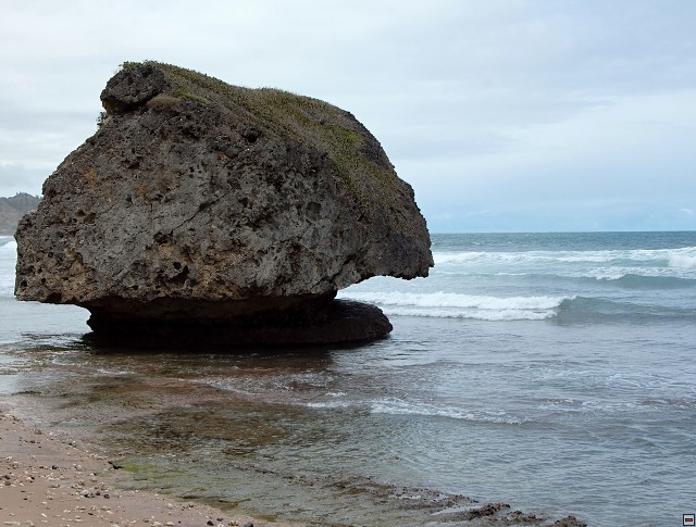 img00016.jpg