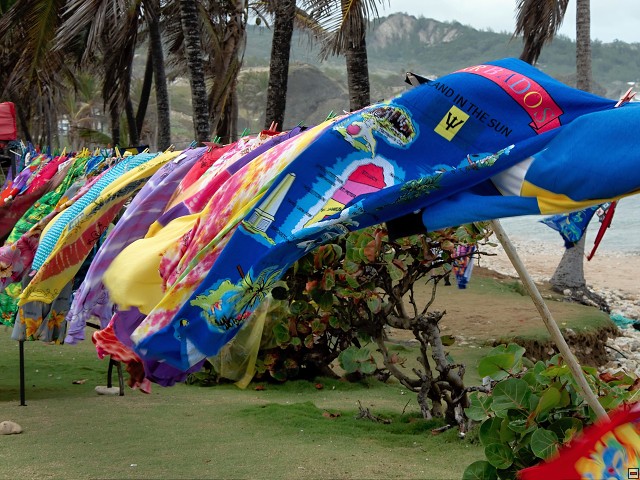 img00018.jpg