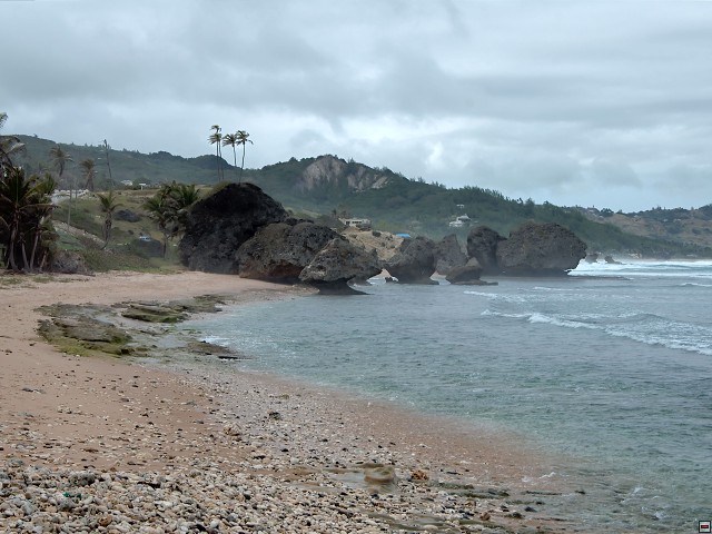 img00019.jpg