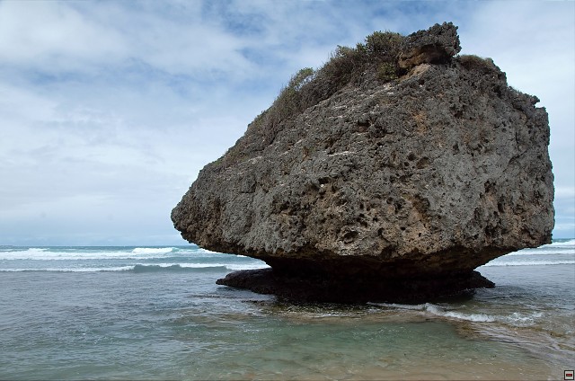 img00020.jpg